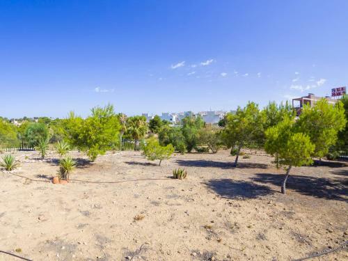 Apartamento Torrevieja Experience Dream Hills