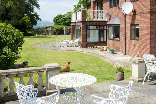Bed & Breakfast Tall Trees