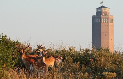 Apartamento Tetterode Aan Zee Appartement