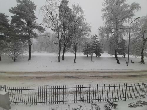 Luksusowy Apartament Parkowa Olecko