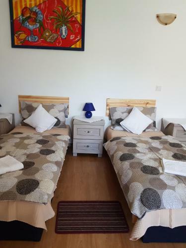 Agroturismo Olszyna Pod Brzoz?