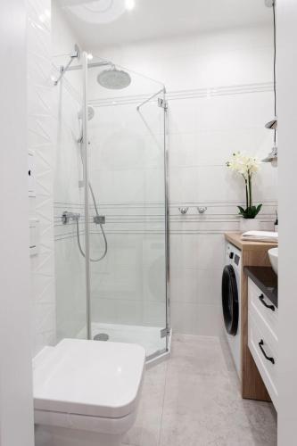 Apartament W Samym Sercu Opola 3