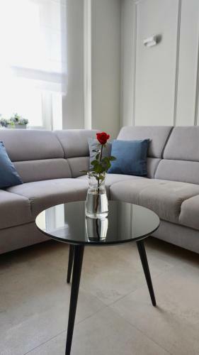 Apartament W Samym Sercu Opola 2