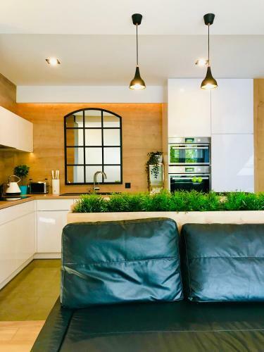 Apartament Moloo II