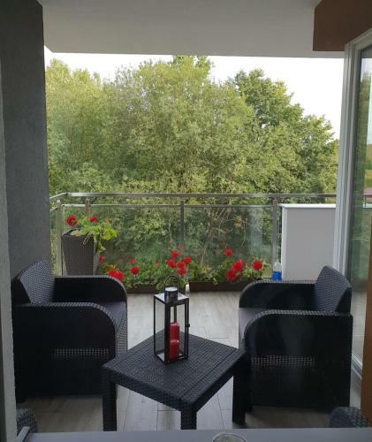 Apartament Widok