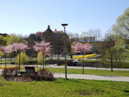 Apartament Paryski