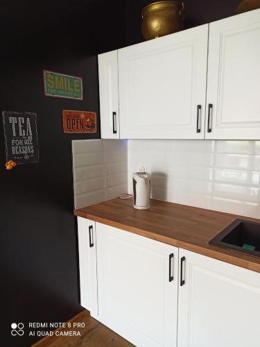 Kameralny Apartament Brzeziny