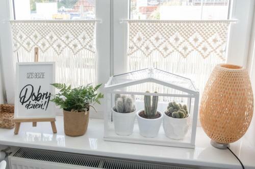 Apartament Alternatywny