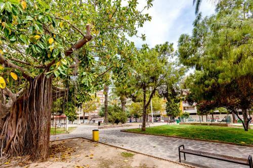 Apartamento Caballero de Rodas 205