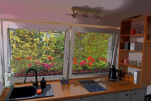 Apartamento Copernicus 11