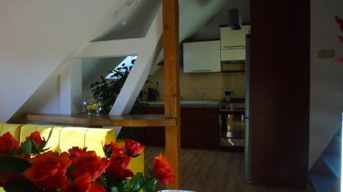 Apartamento Copernicus 10
