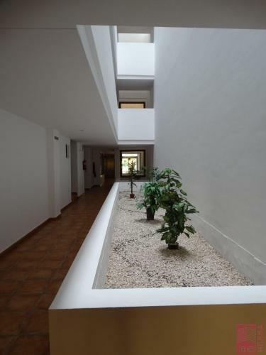 Apartment Eleonor - Punta Prima