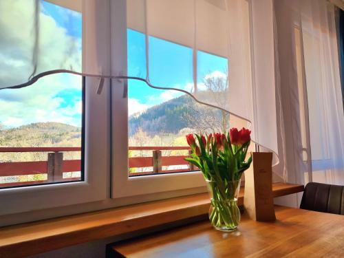 Apartament Nad Wierzbami
