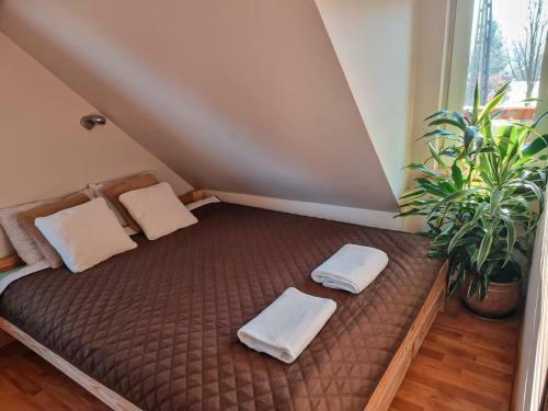 Apartamento Vinico
