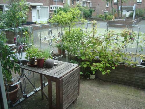 Apartamento Appartementen Aleid