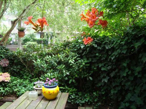 Apartamento Appartementen Aleid