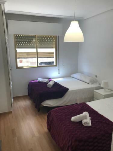 Homely Apartments El Paseo