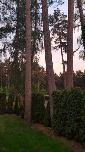 Nadmorski-dom Pobierowo Summer-house