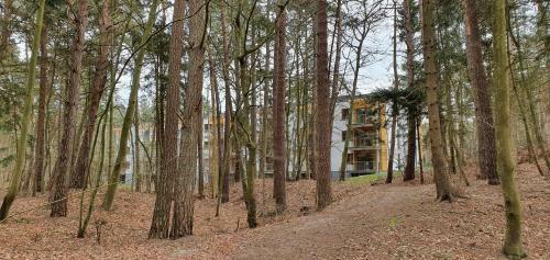 Apartament Marze? A205