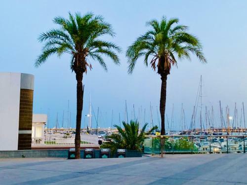 Apartamento Palmeras Puerto En Beach Front Line
