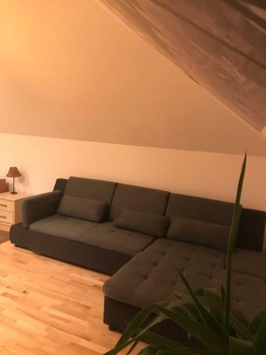 Apartamenty W Ogrodzie