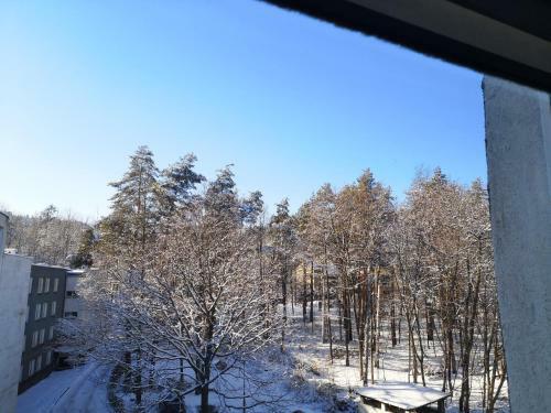 Apartament Zielony Zdr�j