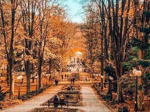 Apartament Okna Na Park