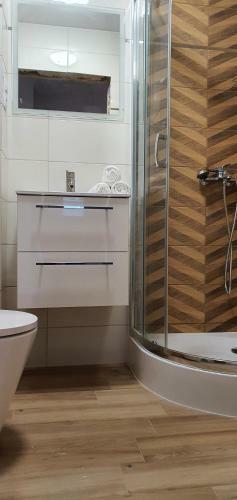 Apartament ??kowa