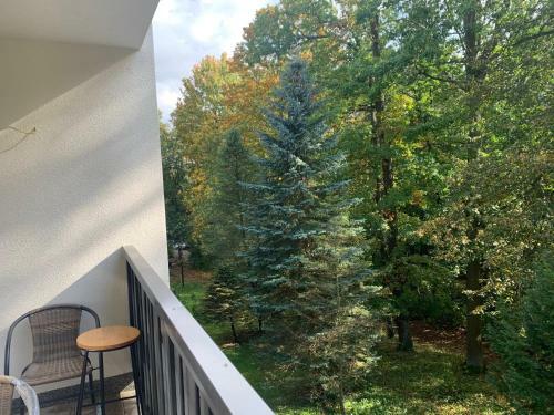 Sen Na Cichej - Apartamenty W Parku