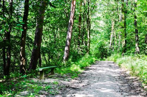Agroturismo Modrzewiowe Wzgorze
