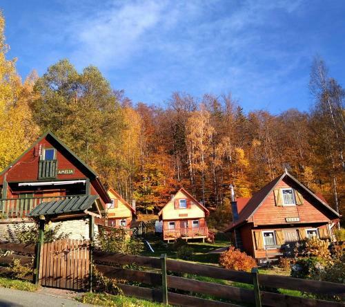Lodge Grzywacz�wka