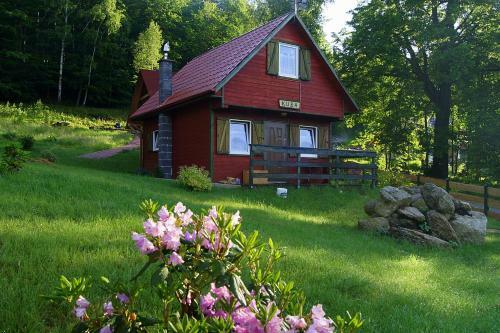 Lodge Grzywacz�wka