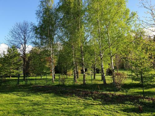 Hostal Pokoje Karkonosze