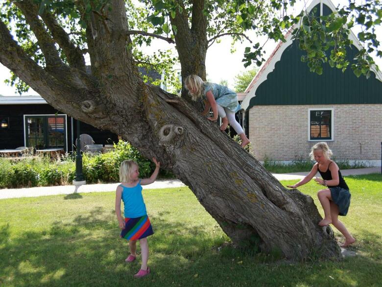 Villa Recreatiepark Wiringherlant II