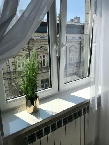 Apartament Mickiewicza