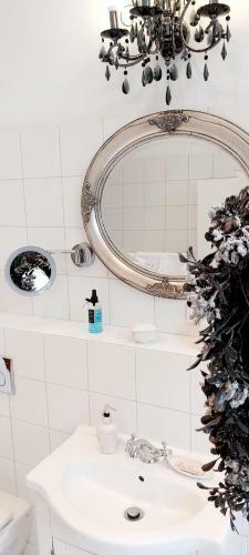 Apartamenty Willa Asser