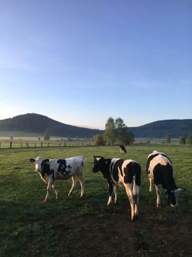 Agroturismo Siedem ?an�w