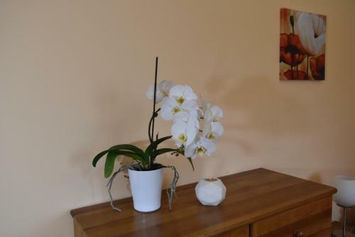 Apartamento Brown