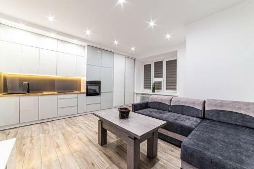 Apartament Staszica