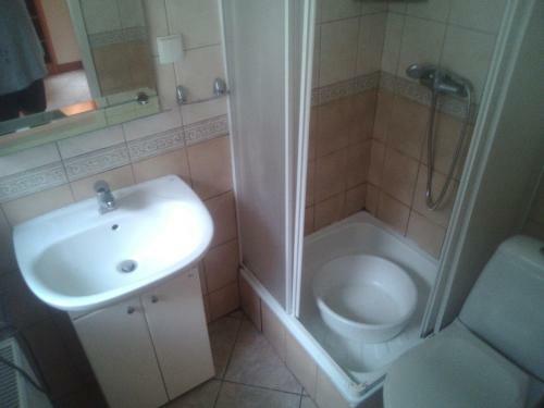 Hotel O?rodek Wczasowy "gronostaj"