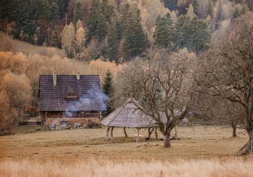 Przystanek Ropienka Le?nicz�wka