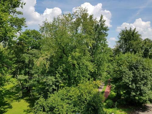 Apartament Rsl
