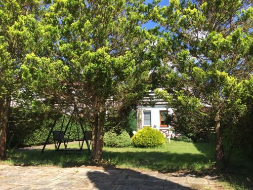 Apartament Miriada 16