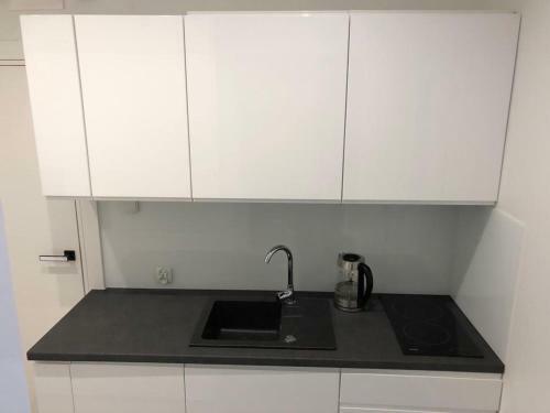 Apartament Krauthofera