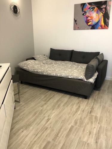 Apartament Krauthofera