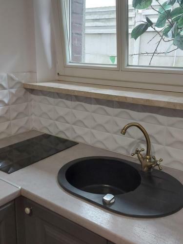 Arena Studio Apartment