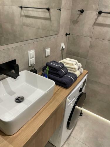 Apartment 2-rooms-garage-tv-wifi
