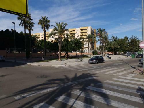 Rent An Apartment In Torrevieja