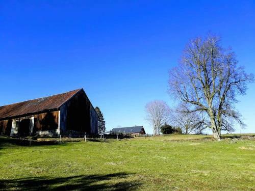Agroturismo Zacisze Przy Lesie