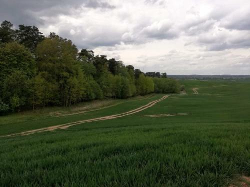 Agroturismo Zacisze Przy Lesie